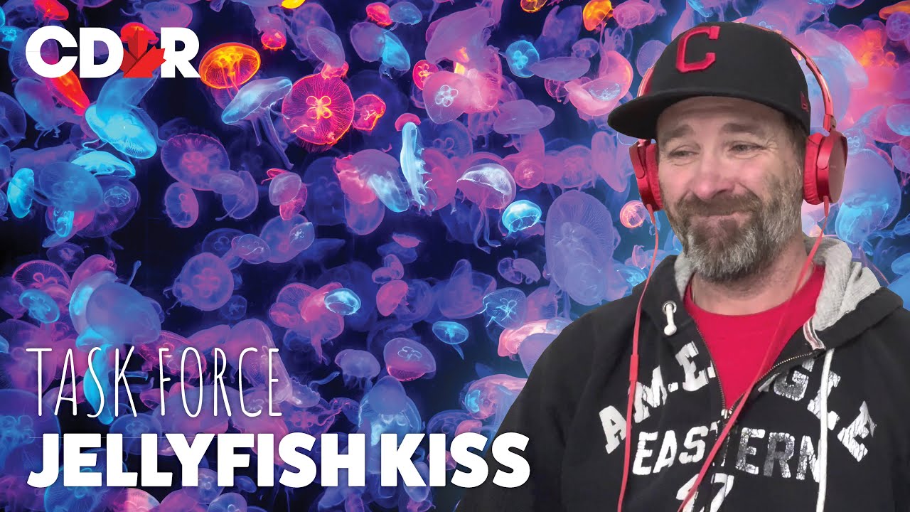 Task Force - Jellyfish Kiss (Reaction)