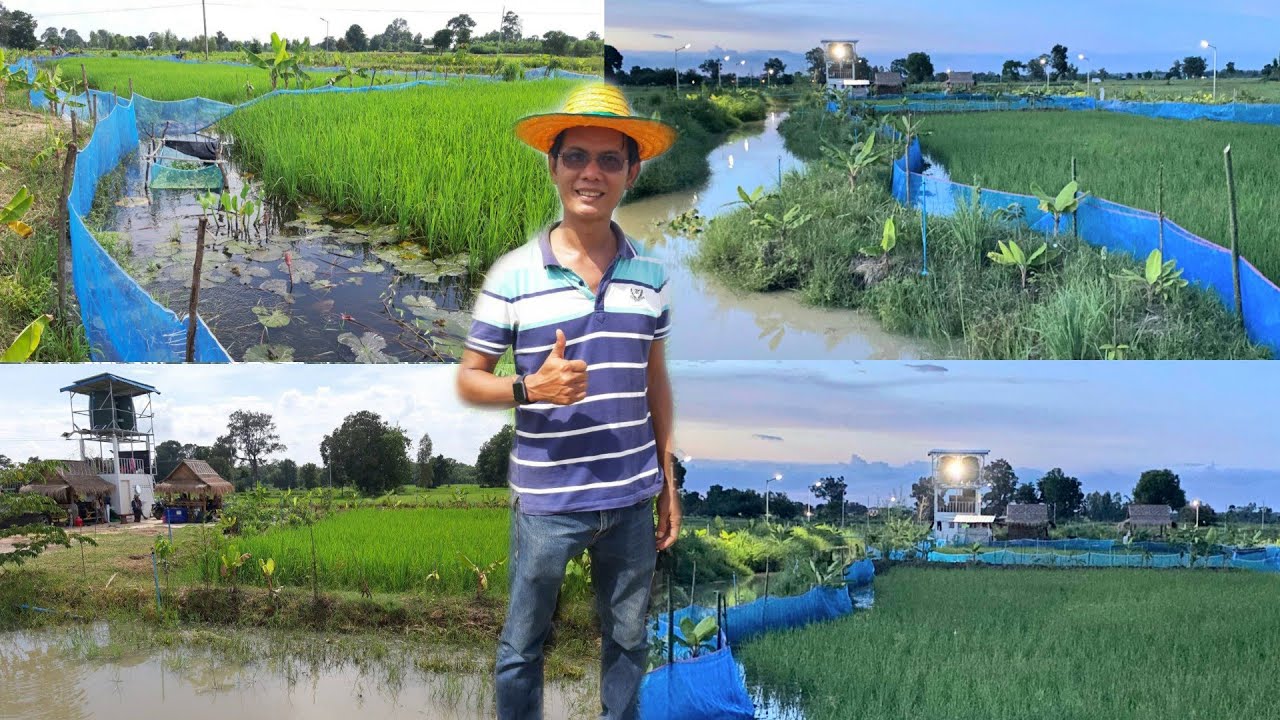 สุดๆแล้วโคกหนองนา4ไร่เมืองกาฬสินธุ์!!มีอยู่มีกิน..ทำแค่5เดือนเปลี่ยนชีวิต