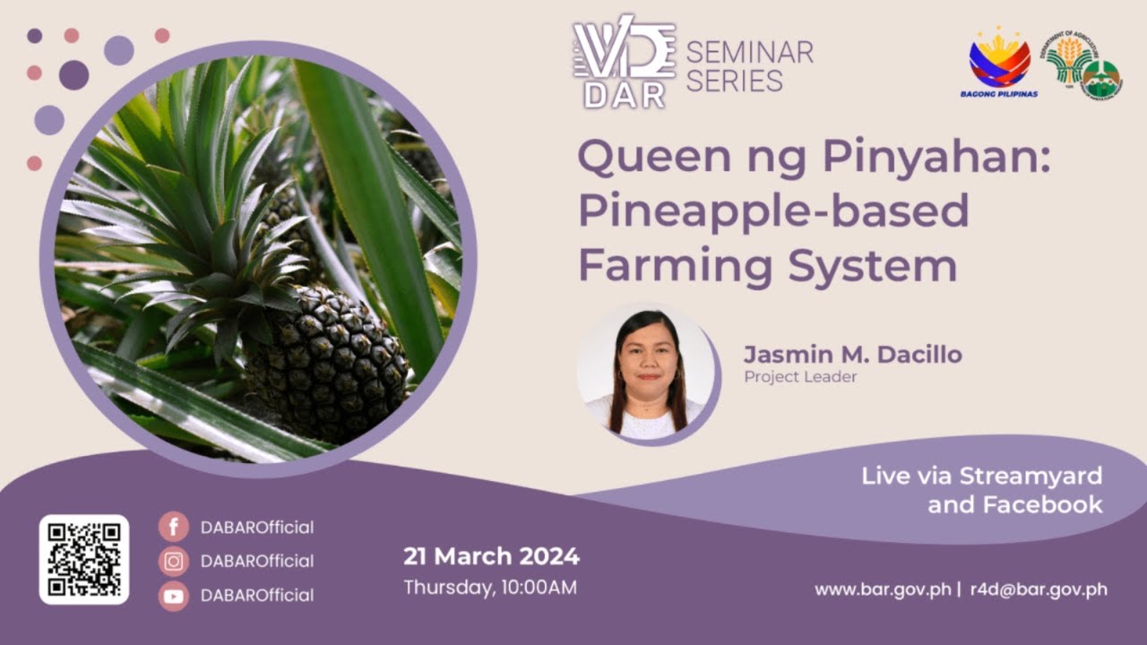 Queen ng Pinyahan: Pineapple-based Farming System