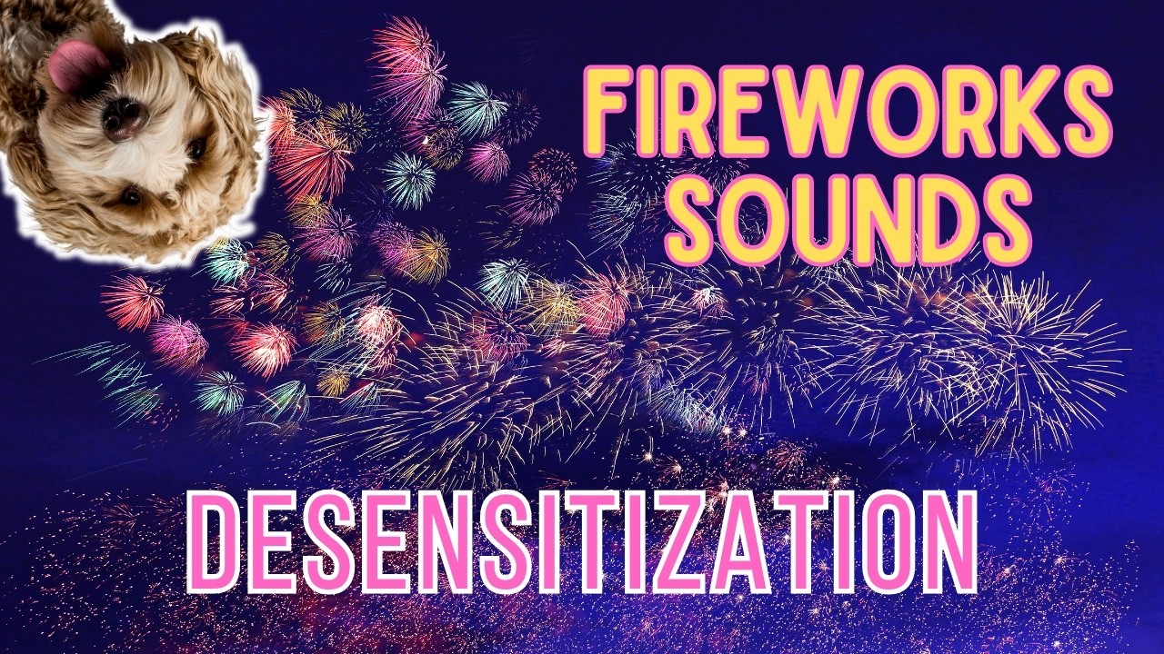 Fireworks Sounds For Dogs - How To Prepare Your Dog For Fireworks
