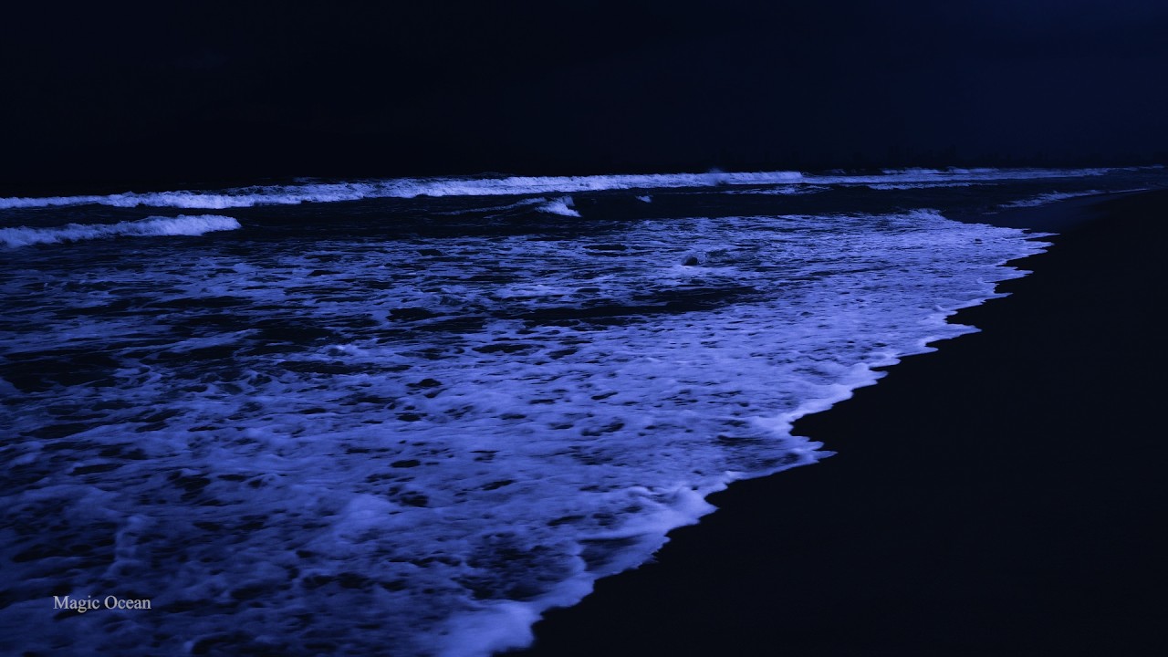 No Ads Relaxation Sleep Journeys • Ease Your Mind And Drift Away • Ocean Wave Sounds For ADHD