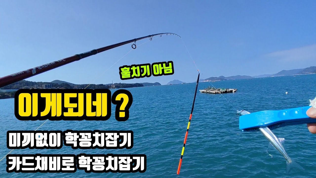 [ 서민낚시 시즌2 출항 132 ] 이게되네? 미끼없이 학꽁치잡기. 카드채비로 학꽁치잡기