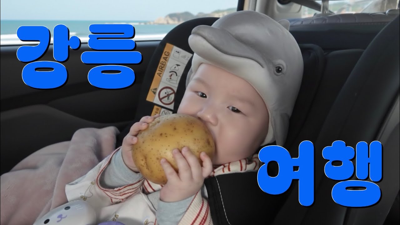 강릉바다 보고 돌고래 소리 발사!🐬 일찌니와 함께하는 첫 강원도 여행기