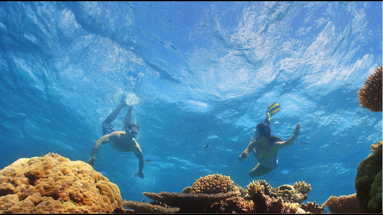 There's Nothing Like Australia's Aquatic and Coastal Experiences