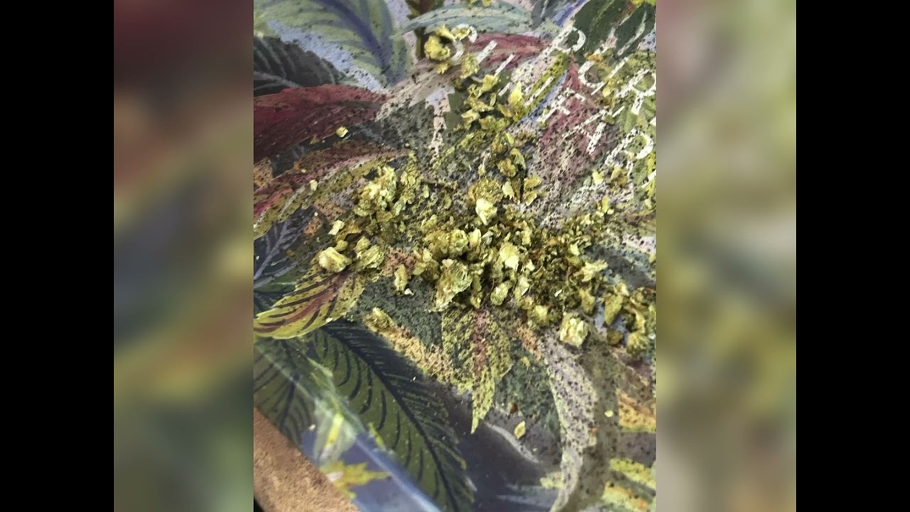 Dankmaster XL [Bong Blend] Pre-Grind Bud