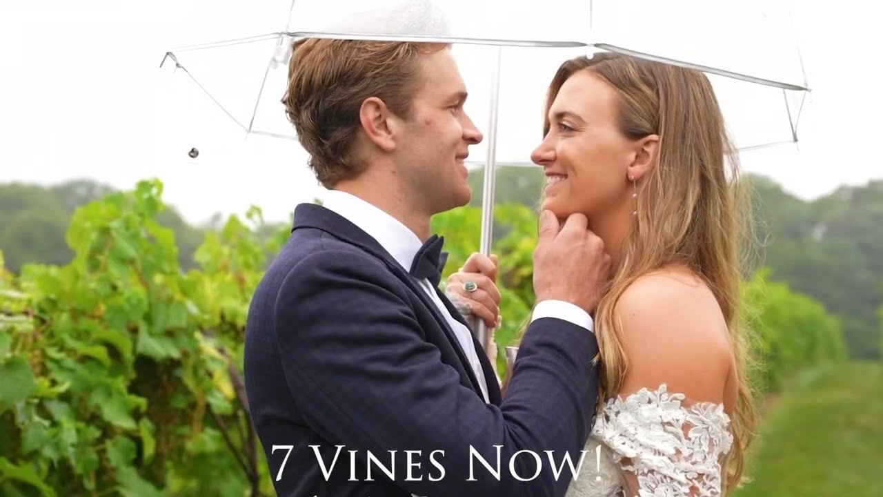 5 Years at 7 Vines Vineyard