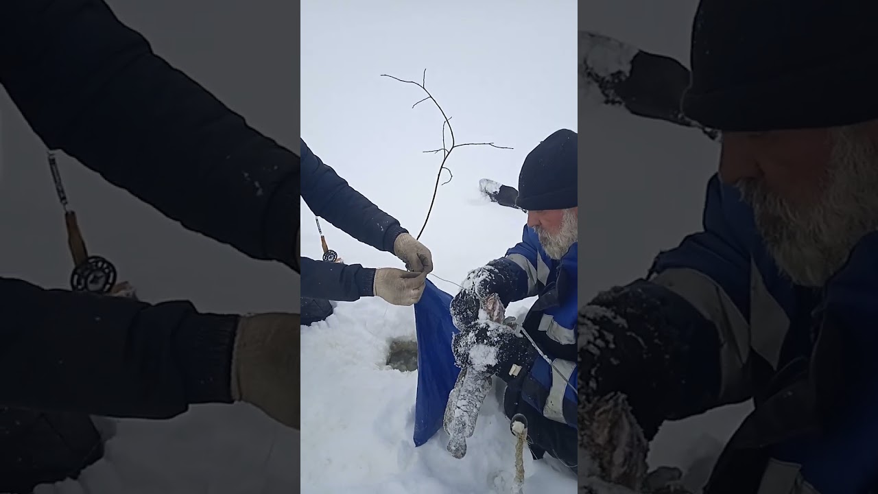 рыбалка в тундре на месторождении,поймали второго налима,вторая лунка тоже налим