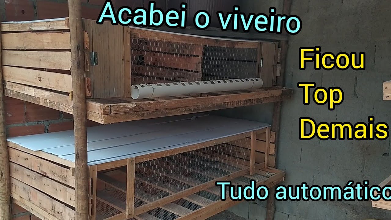 Com Fazer Viveiro para CODORNA AUTOMÁTICO passo a passo - Parte 3
