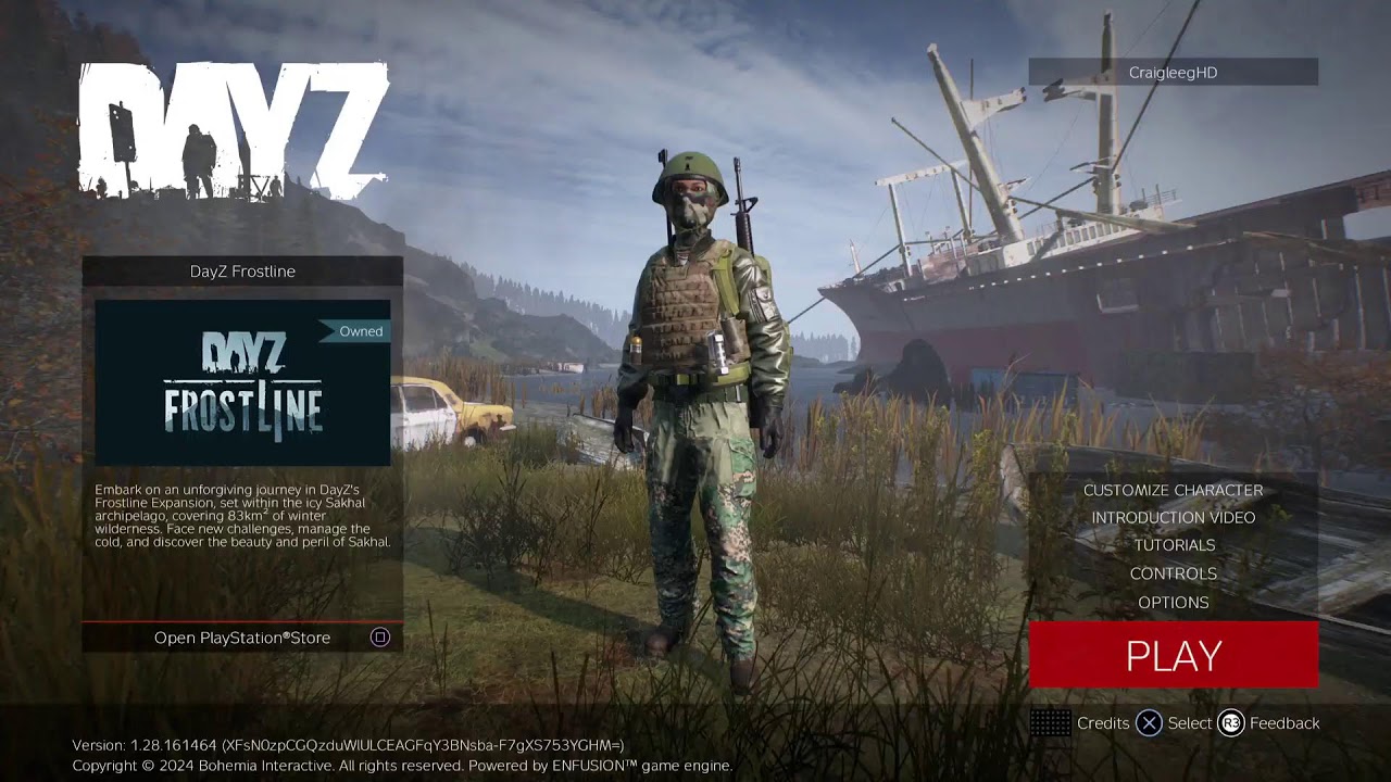 Dayz solo