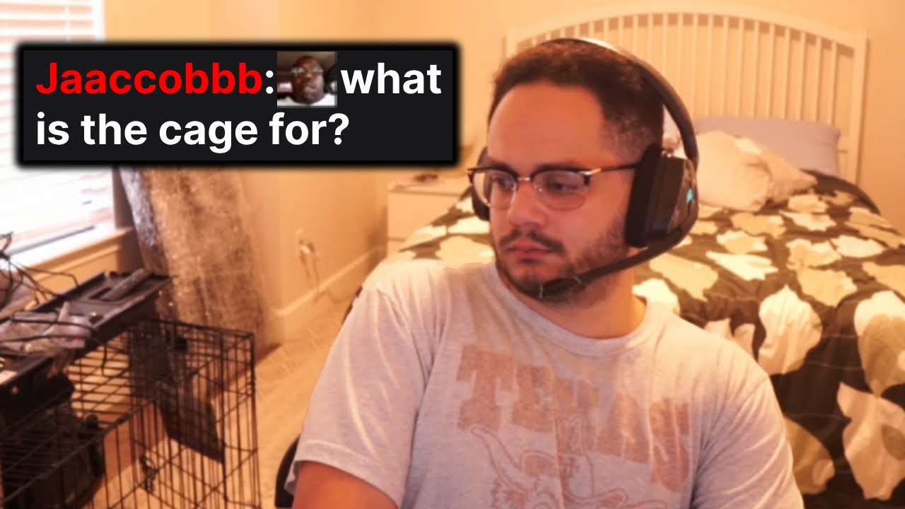 I Did Not Get Evicted