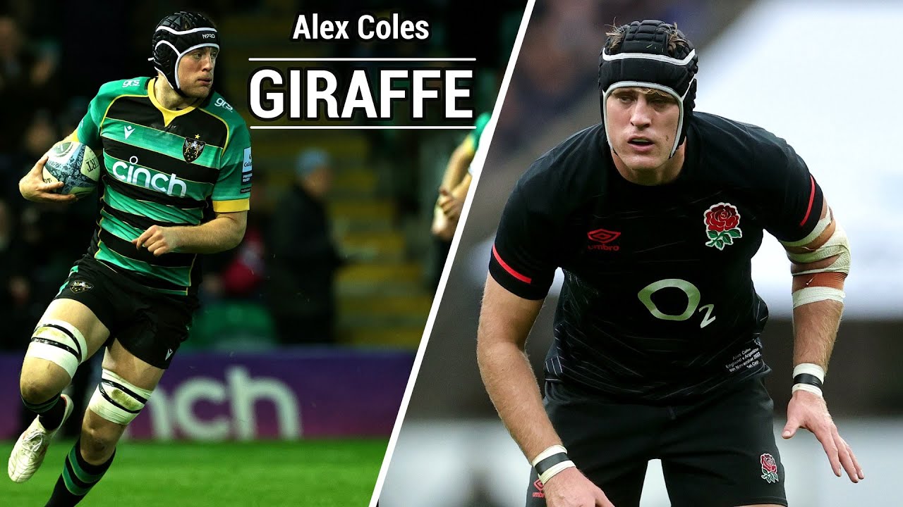Alex Coles - Giraffe | Northampton Saints/England Rugby Tribute