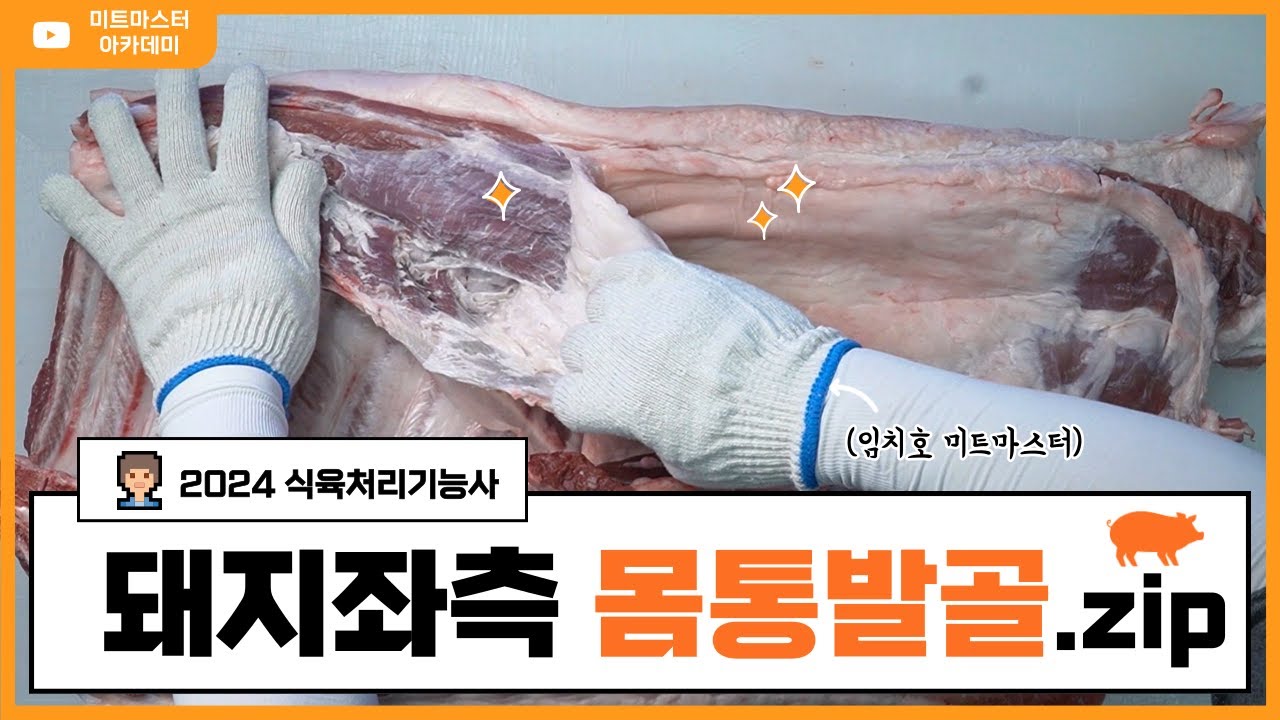 2024 식육처리기능사 실기대비 _ 돼지 몸통 발골 (좌측) _ 9