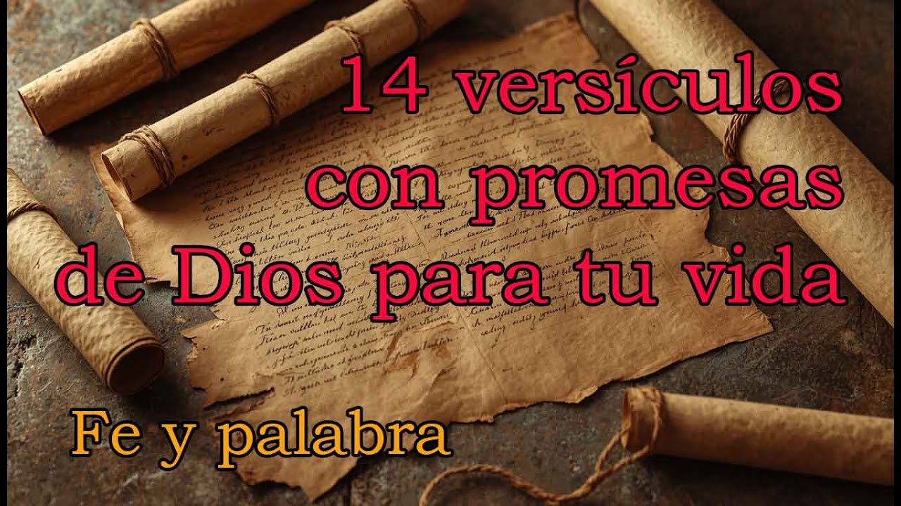 14 versículos con promesas de Dios para tu vida. Fe y palabra, donde el cielo toca tu corazon
