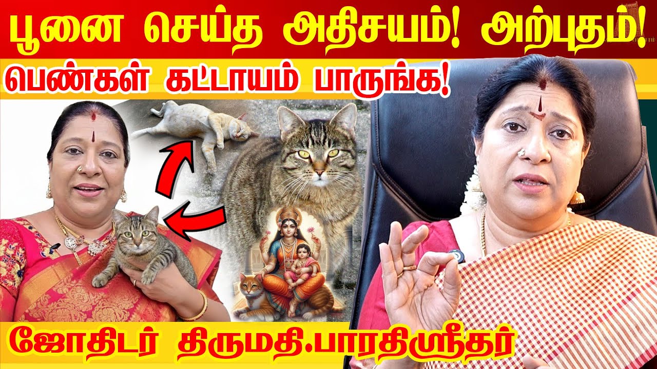 உங்கள் வீட்டை தேடி பூனை வருவது ஏன்? யாருமே சொல்லாத ரகசியம் Cat Astrology Astrologer Bharathi Sridhar