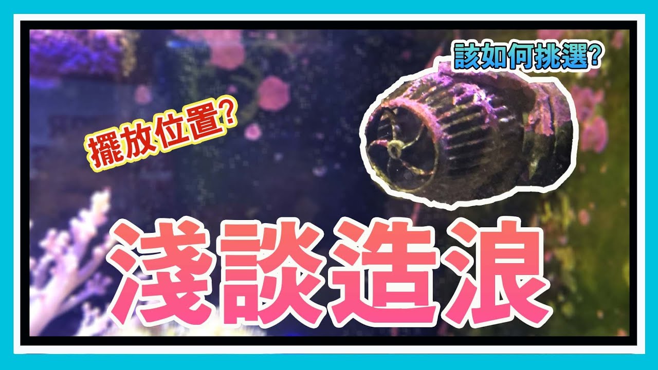如何挑選造浪？擺放位置？來淺談造浪吧！     【阿宅 X Dane's Aquarium】
