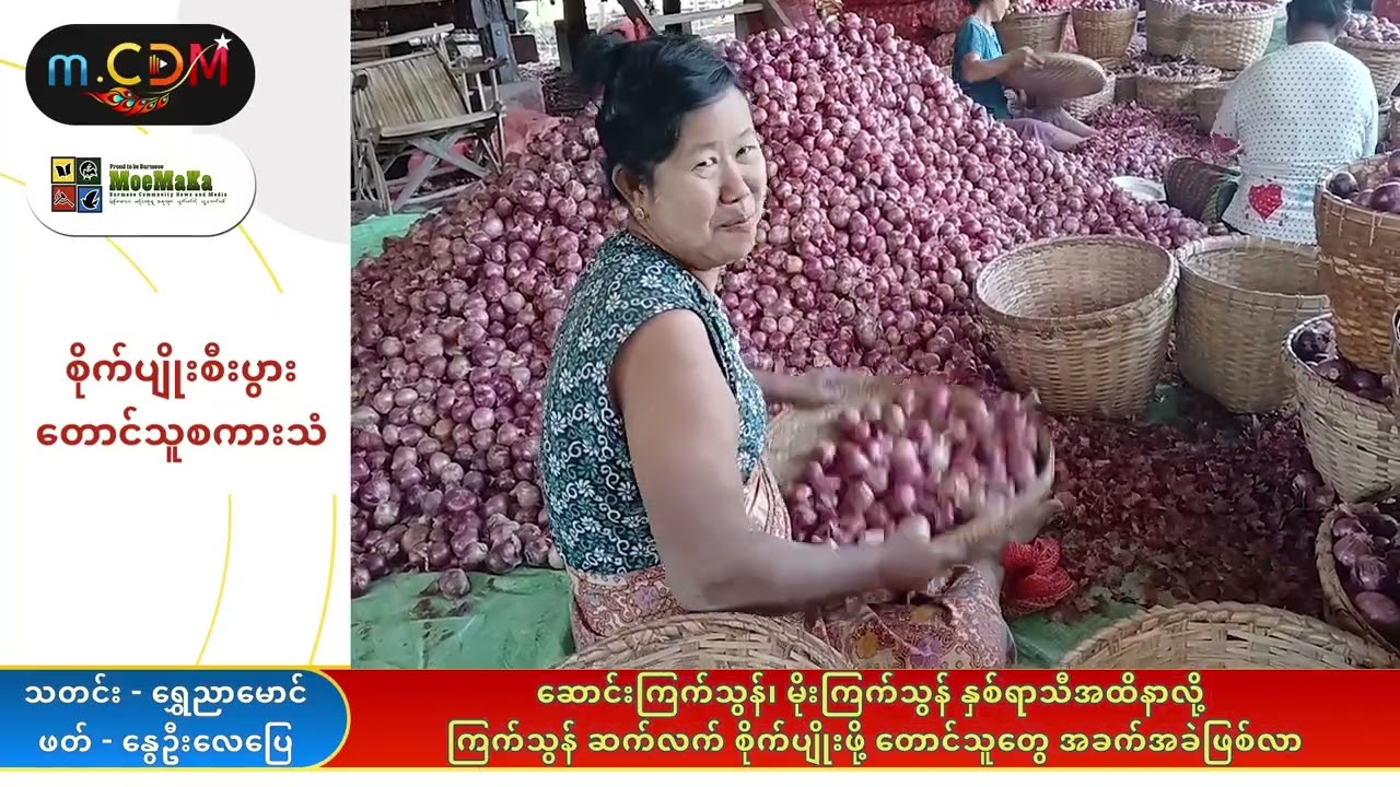 ဆောင်းကြက်သွန်၊ မိုးကြက်သွန် နှစ်ရာသီအထိနာလို့ ကြက်သွန် ဆက်လက်စိုက်ပျိုးဖို့ တောင်သူတွေအခက်အခဲဖြစ်လာ