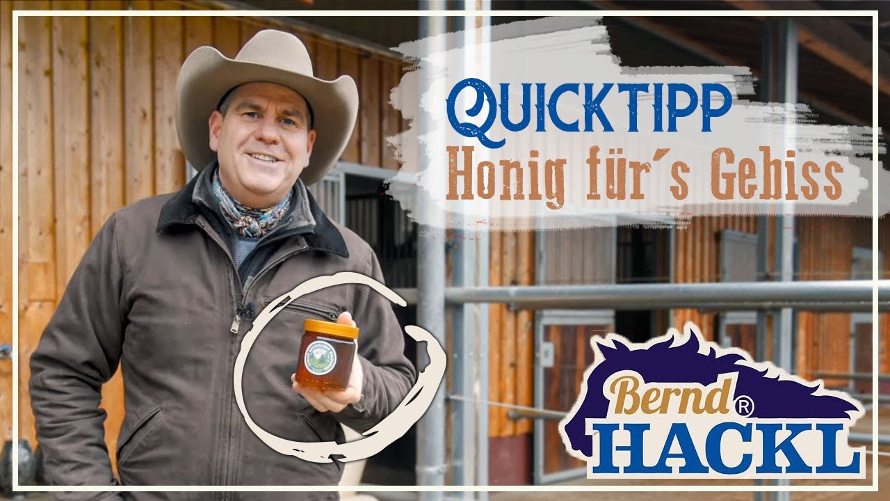 Pferdegebiss besser annehmen durch Honig 🍯🐝 | HORSEMAN HACK 🐎