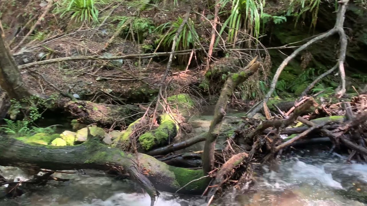 Exploring Five Mile , Queenstown