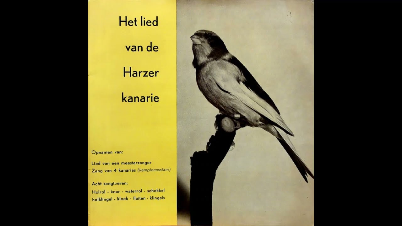 Het lied van de Harzer kanarie (1964 or later) bird song of the Harz (Harzer) Roller
