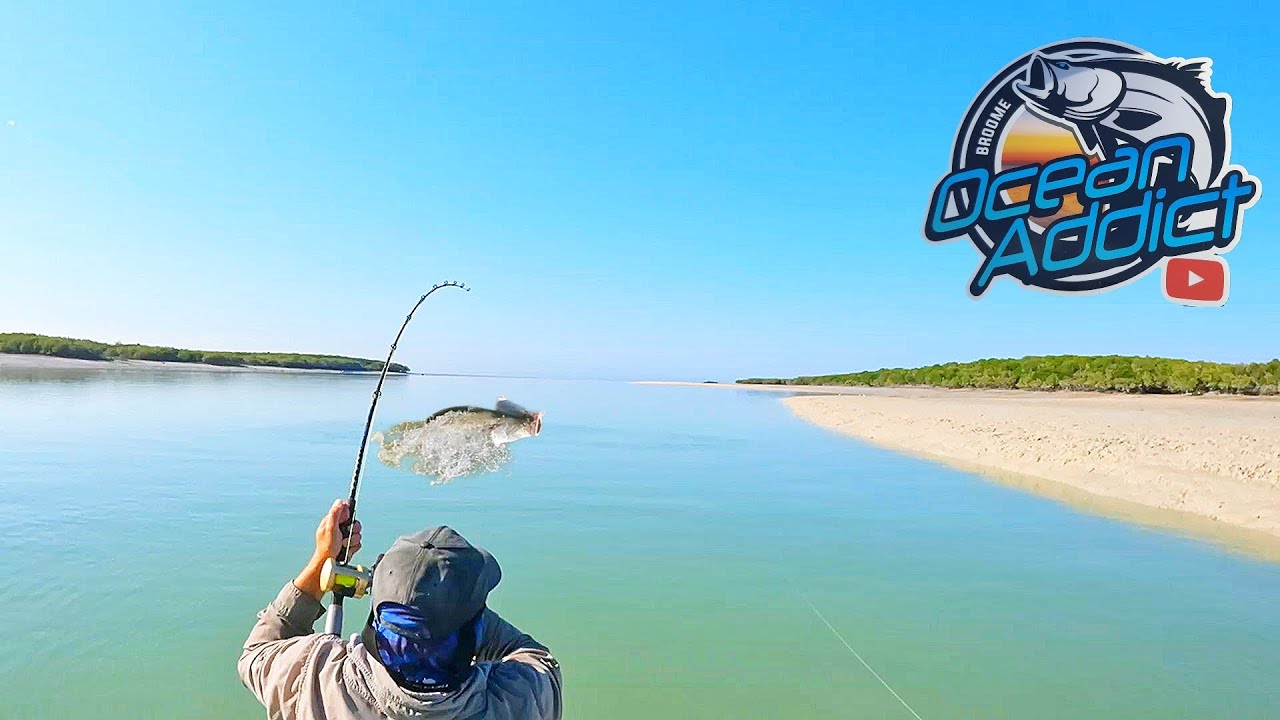 Советы и методы ловли живой наживки на крючки Barramundi