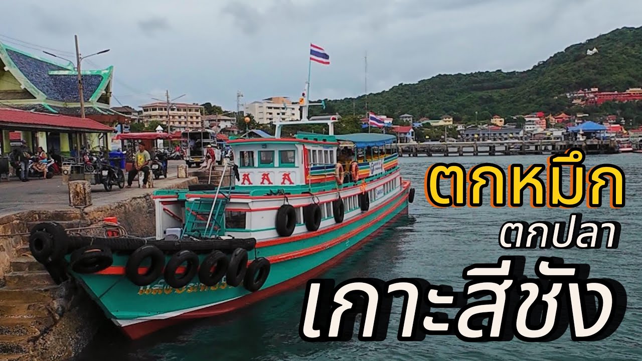 ตกหมึก ตกปลาทะเล ที่เกาะสีชัง ศรีราชา ชลบุรี #ตกปลาทะเล #fishing #ตกหมึก #เกาะสีชัง #ตกหมึกเกาะสีชัง
