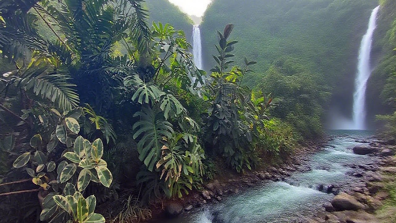 Entspannende Klaviermusik und Naturgeräusche 🌲 Heilen Sie die Seele, bauen Sie Stress ab 🎹💧