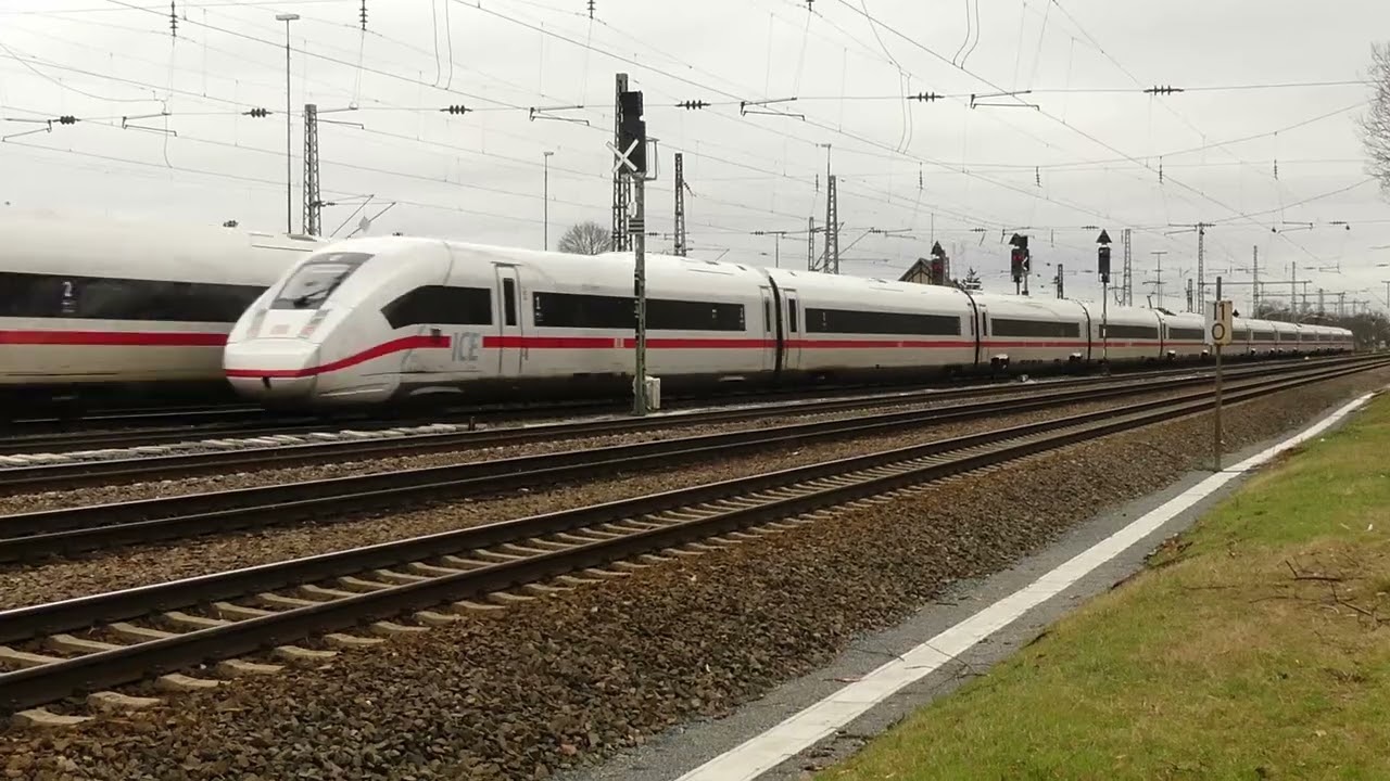 Riedbahn bei Mannheim Schönau am 14. Februar 2024