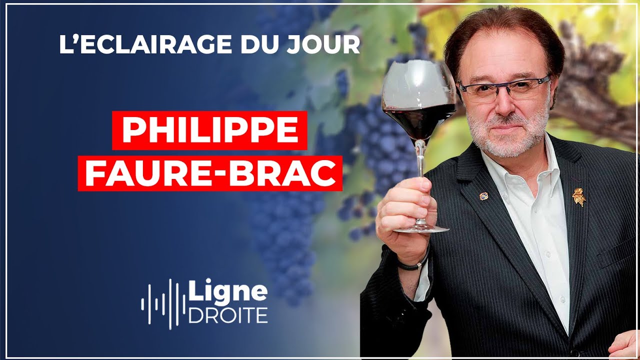 Le secteur viticole plus que jamais en danger - Philippe Faure-Brac