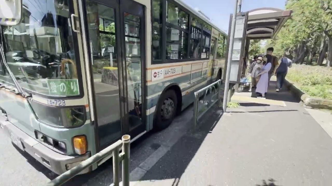 【西武バス】圧倒的本数で都内随一の桜の名所の公園への輸送を完了する！【日本バス停紀行】第698回　小金井公園西口