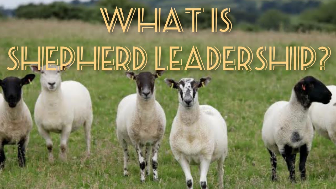 What is Shepherd Leadership?