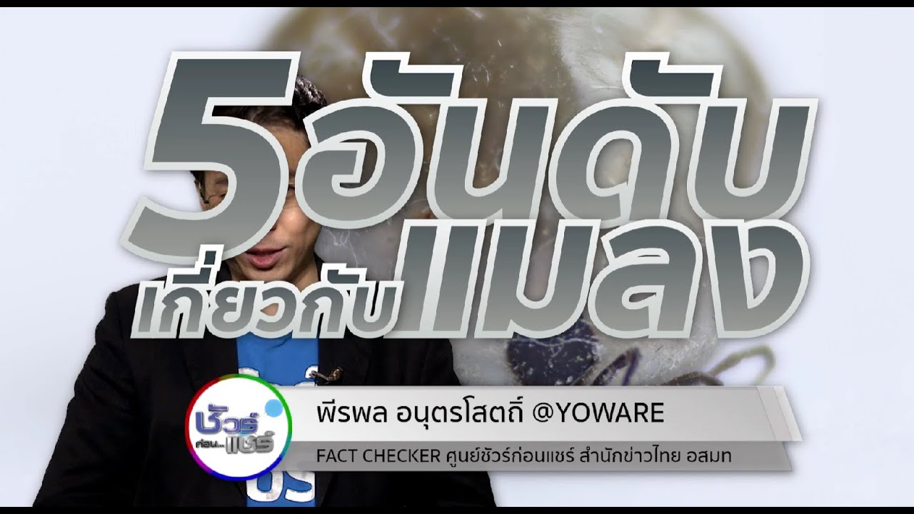 ชัวร์ก่อนแชร์ CHECK-LIST : 5 เรื่องฮิตเกี่ยวกับแมลง
