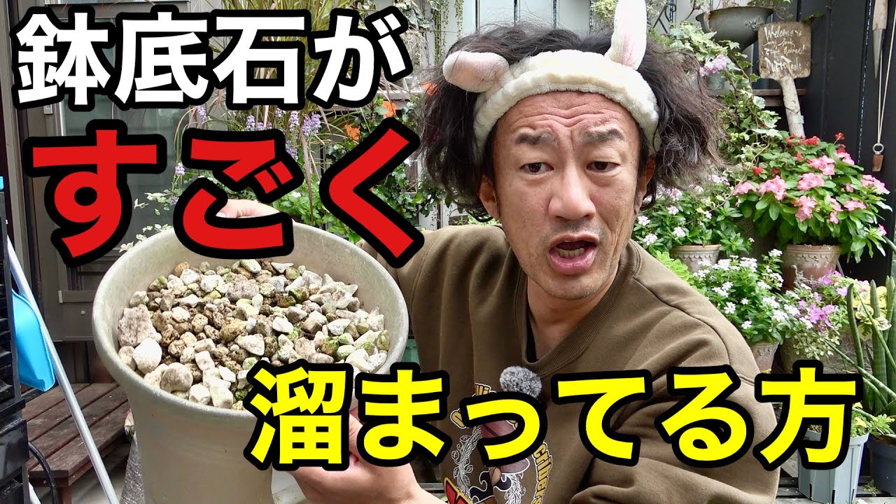 必見！！！　　【園芸超人カーメン君】【鉢底石】