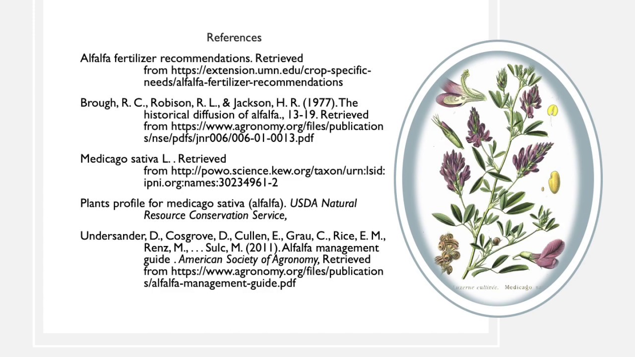 ALFALFA: Origins & Production