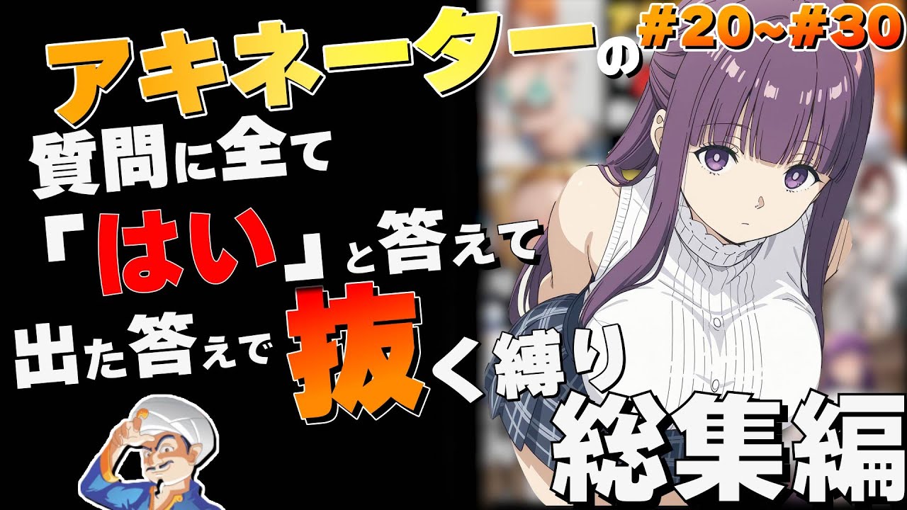 【総集編】アキネーターに今夜のオカズ決めてもらう【パート20~30】