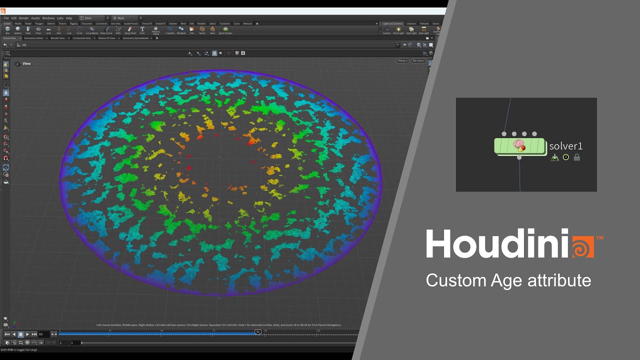 SideFX Houdini -  Custom Age attribute