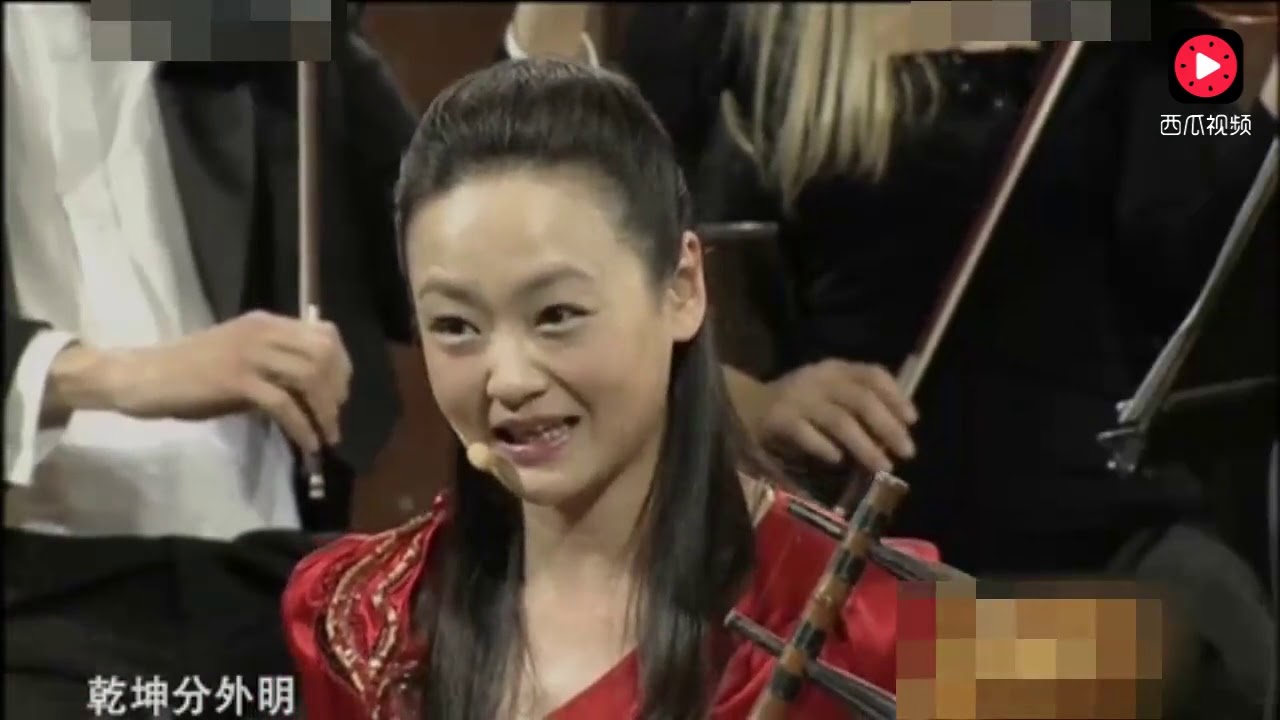 二胡美女在维也纳金色大厅，自拉自唱国粹京剧惊艳世人