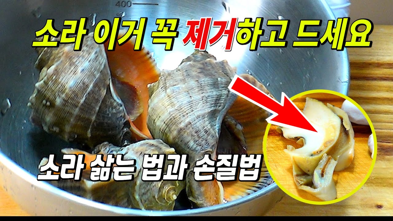 소라 이건 꼭 제거하고 드세요 소라 삶는법과 손질법 생활의 팁 소라 삶으신 물에 씻어도 됩니다