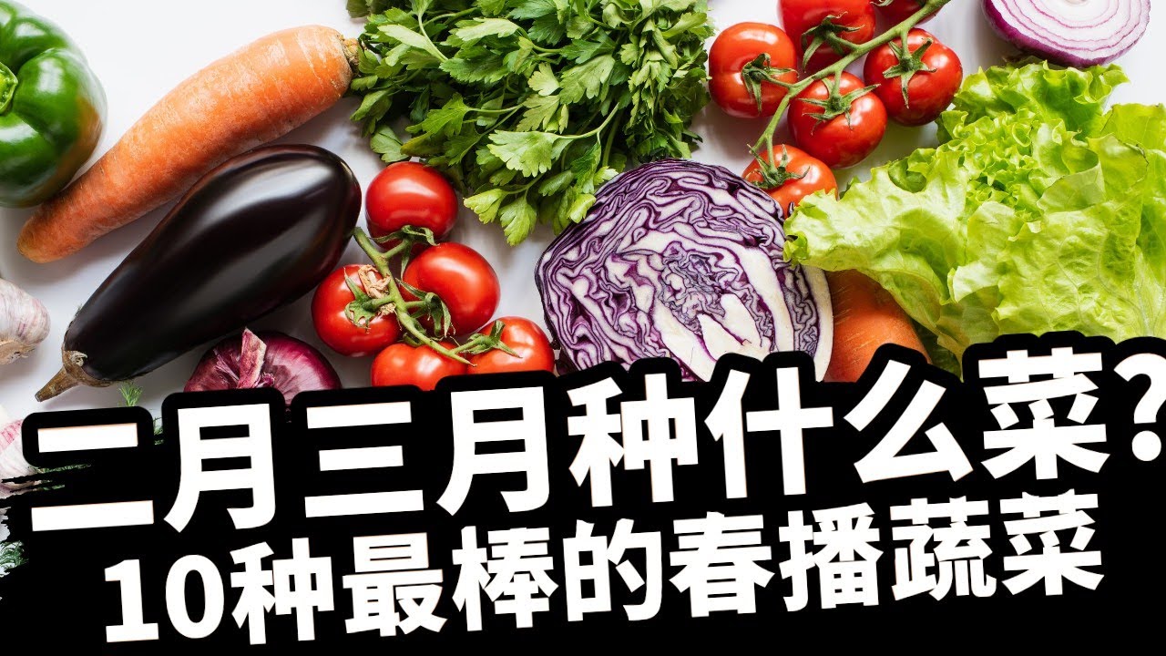 二月三月种什么？别再烦恼，给您推荐最适合春天播种的十种蔬菜, 30多天即可收获