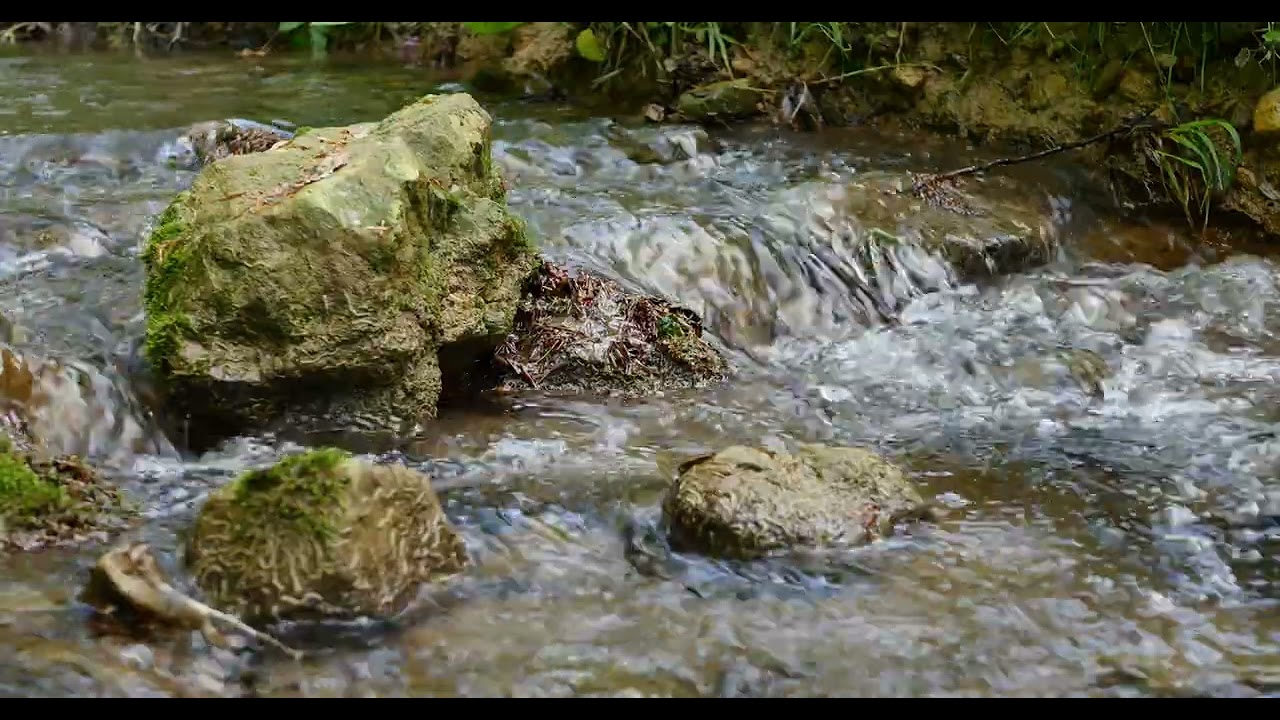 Egy &oacute;ra nyugtat&oacute; erdei patak csobog&aacute;s &eacute;s mad&aacute;rcsicserg&eacute;s 4K UHD teljes film