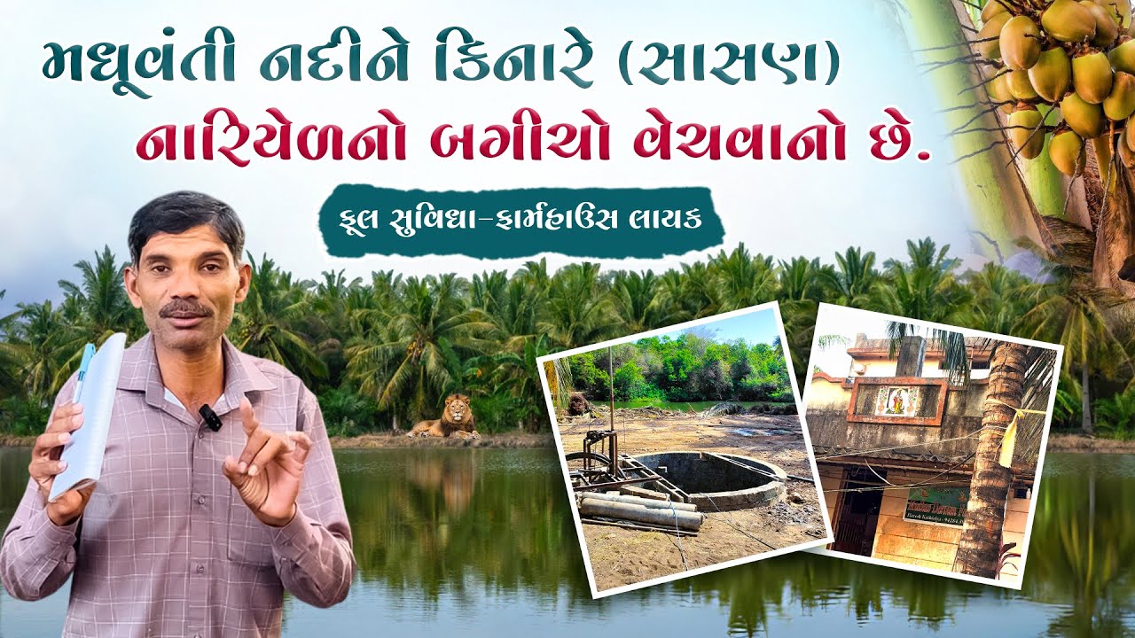 આ નારિયેળ નો બગીચો વેચવાનો છે - સાસણ રોડ પર નાની ખોડિયાર ગામ | મો. નંબર: ૯૪૨૮૪૩૯૨૫૬#