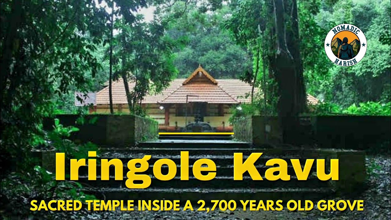 Iringole Kavu | Temple Inside A Forest | Kerala's Mysterious Temple | Largest Sacred Grove In Kerala