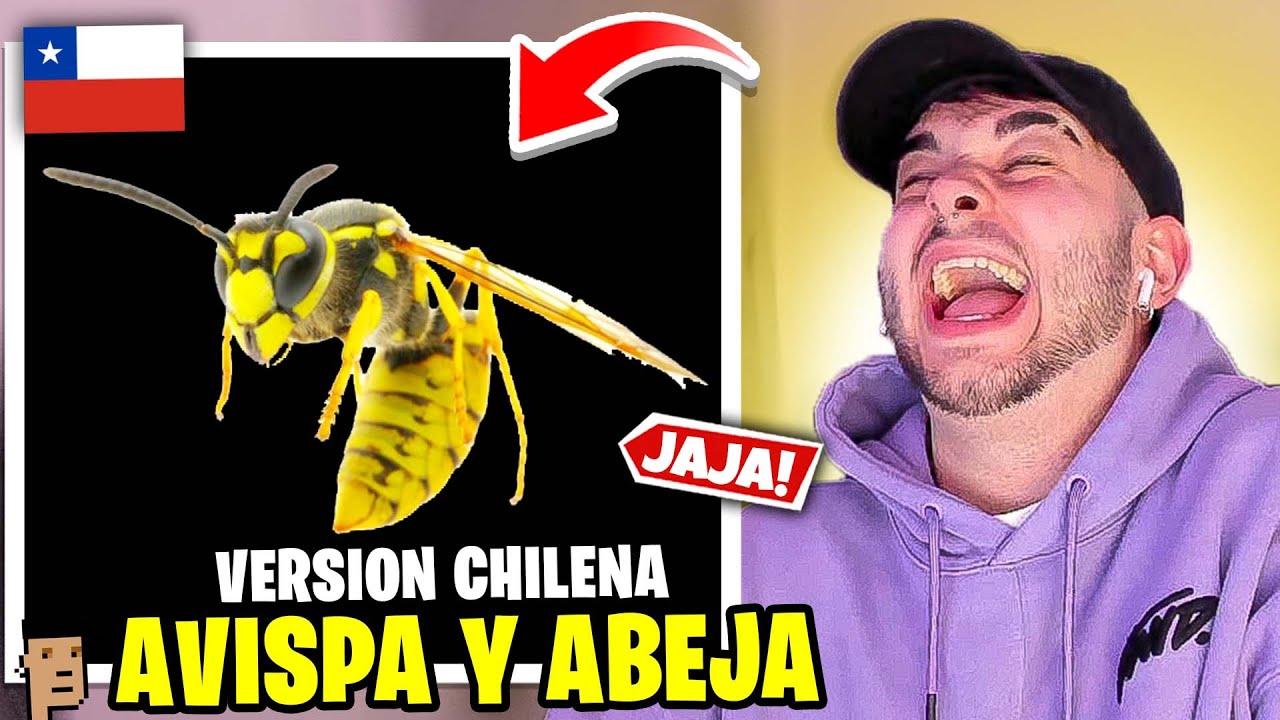 Reacción a La Avispa Y El Avispón (Versión Chilena)