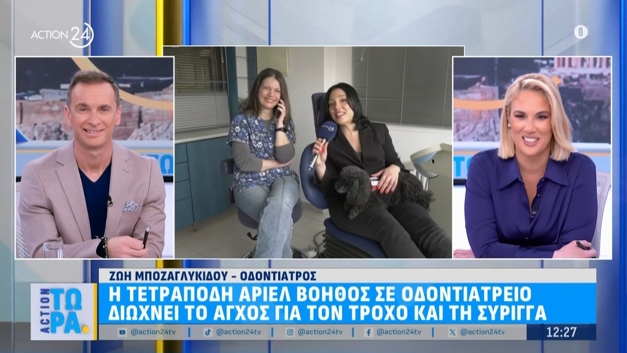 Η τετράποδη Άριελ βοηθός σε οδοντιατρείο διώχνει το άγχος για τον τροχό και τη σύριγγα | ACTION Τώρα