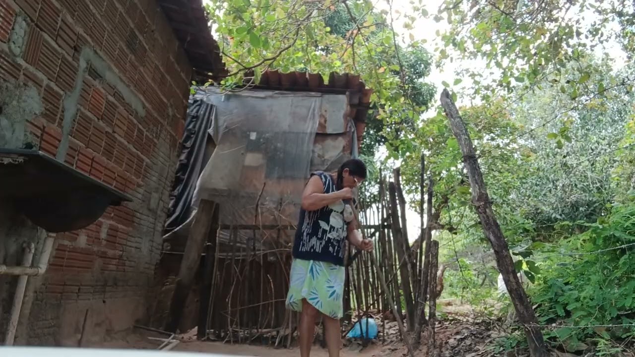 Limpei o quintal 