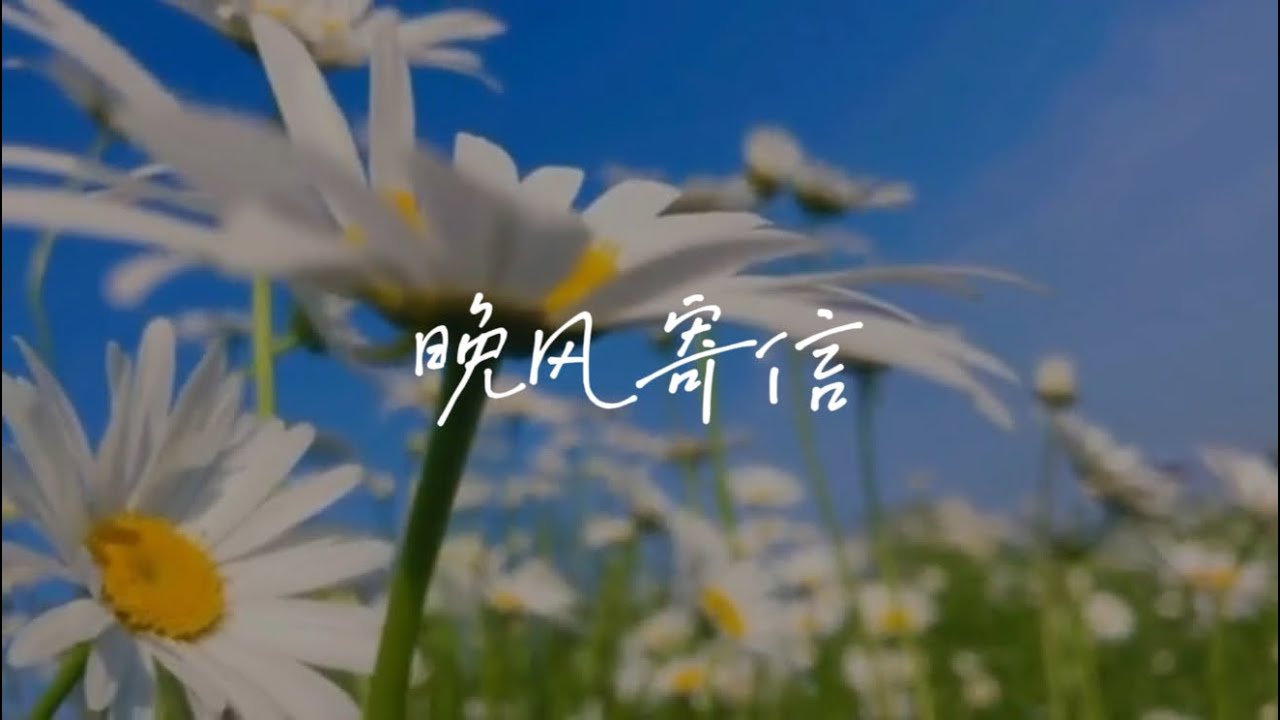 晚风寄信  『世间美好 都不及一个你』【Dynamic Lyrics MV】