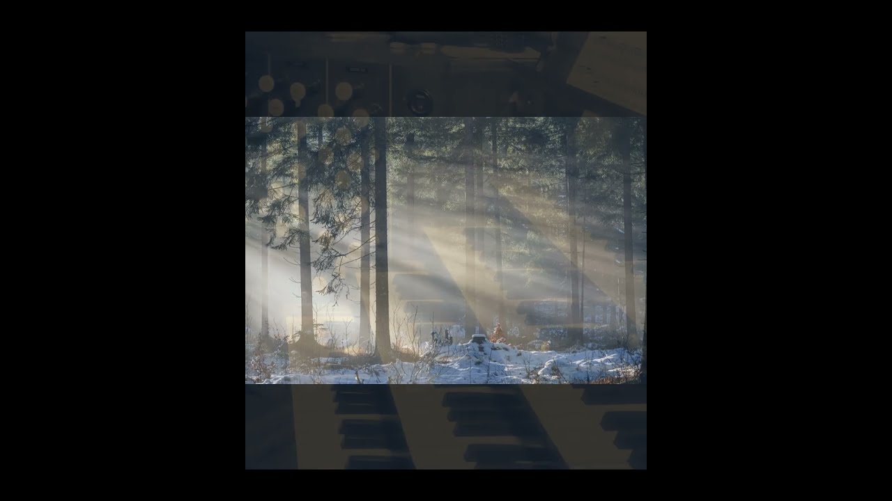J.S. Bach, Jesu bleibet meine Freude