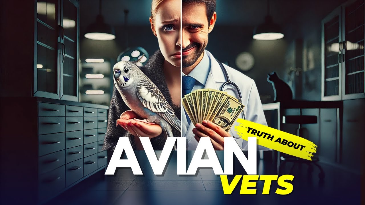Avian Vet Reality | Situation of Avian Veterinary in India | #avianvet #ShaikhTanveer #Macaw