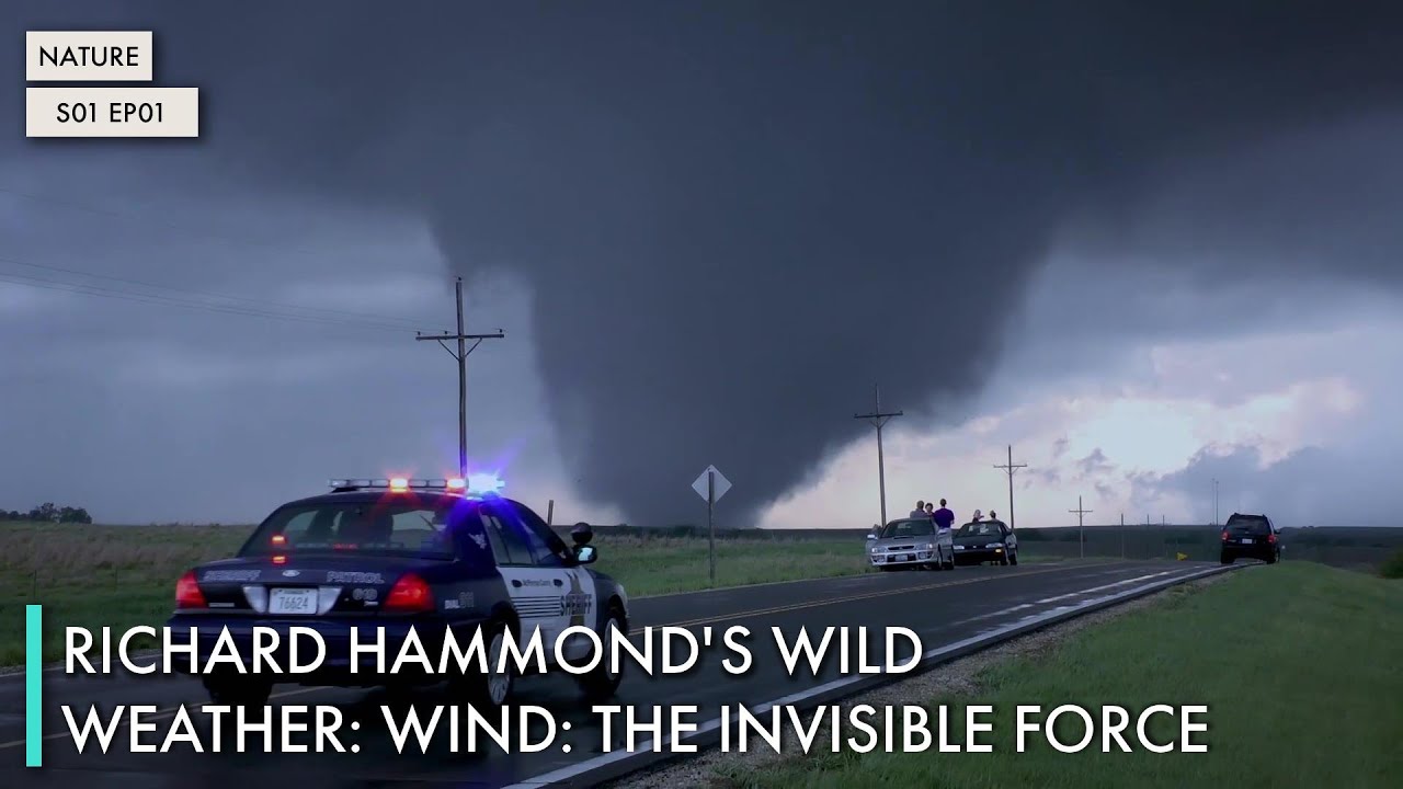 Richard Hammond's Wild Weather: Wind: The Invisible Force