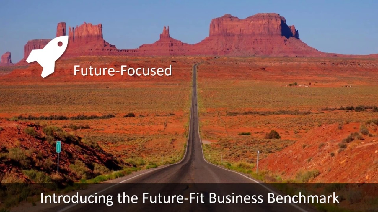 Future Fit Sustainability Webinar April 2017