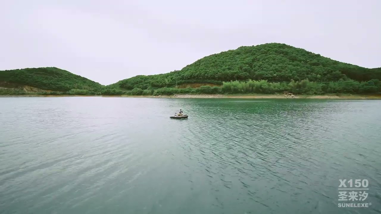 SUNELEXE BRUSHLESS MOTOR X150